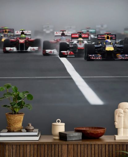 formula one wallpaper mural called Hungarian Grand Prix 2011 by Darren Heath for bedrooms and home offices