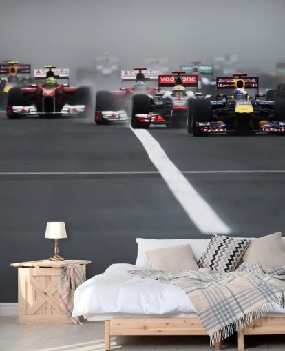 formula one wallpaper mural called Hungarian Grand Prix 2011 by Darren Heath for bedrooms and home offices