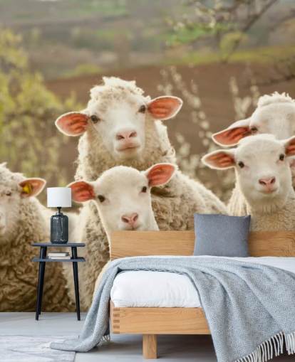 carta da parati murale con pecore bianche e verdi chiamato Sheep on Pasture per case e aziende