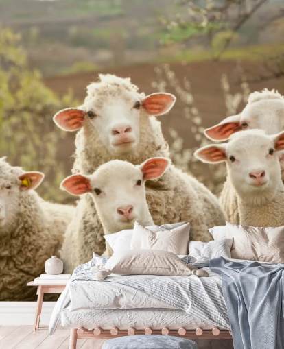 white and green sheep wallpaper mural called Sheep on Pasture for homes and businesses
