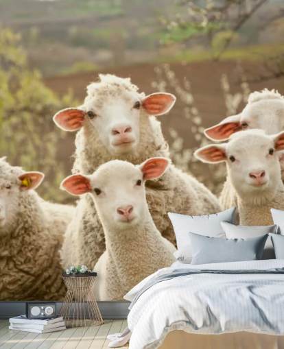 white and green sheep wallpaper mural called Sheep on Pasture for homes and businesses