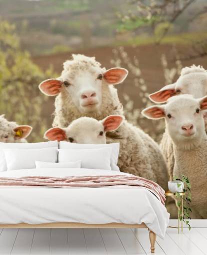 hvide og grønne får tapetmaleri kaldet Sheep on Pasture til hjem og virksomheder hvide og grønne får tapetmaleri kaldet Sheep on Pasture til hjem og virksomheder