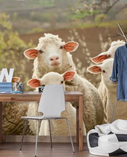 white and green sheep wallpaper mural called Sheep on Pasture for homes and businesses