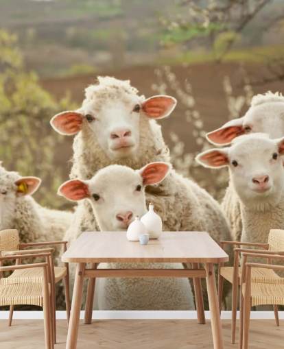 vita och gröna får tapetväggmålning som heter Sheep on Pasture för hem och företag vita och gröna får tapetväggmålning som heter Sheep on Pasture för hem och företag