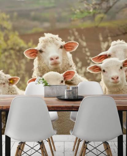 white and green sheep wallpaper mural called Sheep on Pasture for homes and businesses