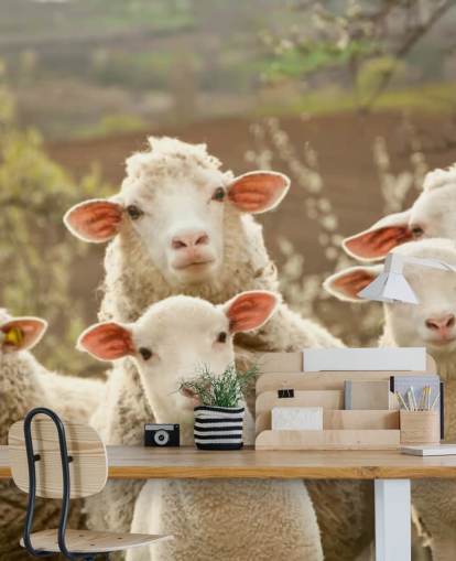 white and green sheep wallpaper mural called Sheep on Pasture for homes and businesses