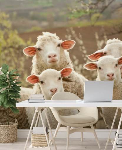 white and green sheep wallpaper mural called Sheep on Pasture for homes and businesses