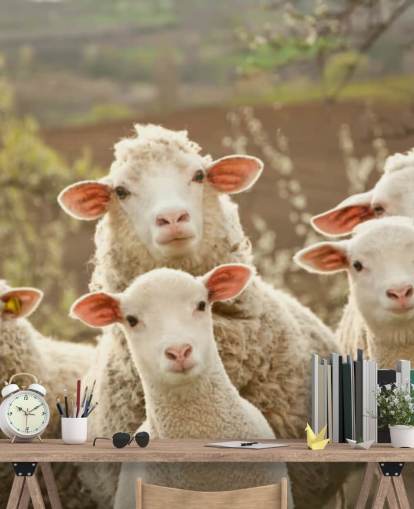 papier peint mural de moutons blancs et verts appelé Sheep on Pasture pour les maisons et les entreprises