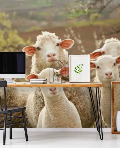 mural de papel pintado de ovejas blancas y verdes llamado Sheep on Pasture para hogares y negocios