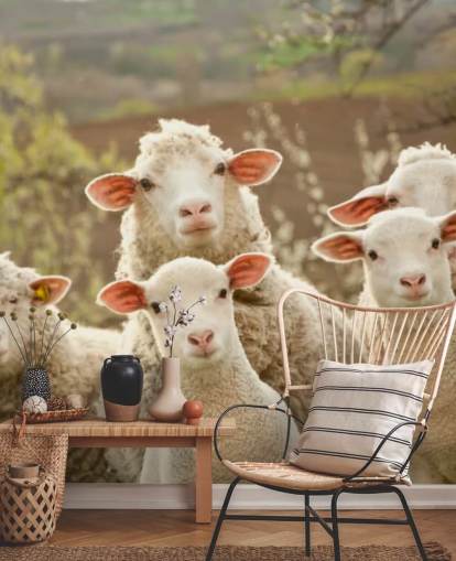 weiße und grüne Schaftapete namens Sheep on Pasture für Häuser und Unternehmen weiße und grüne Schaftapete namens Sheep on Pasture für Häuser und Unternehmen