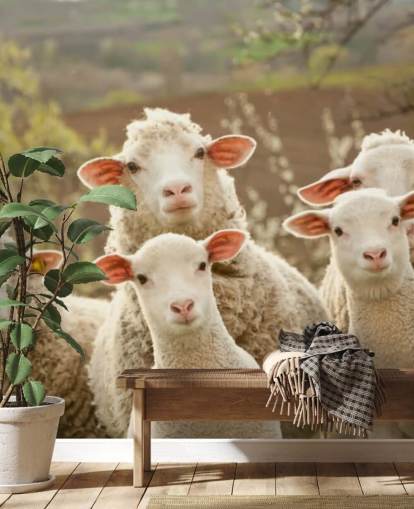 white and green sheep wallpaper mural called Sheep on Pasture for homes and businesses