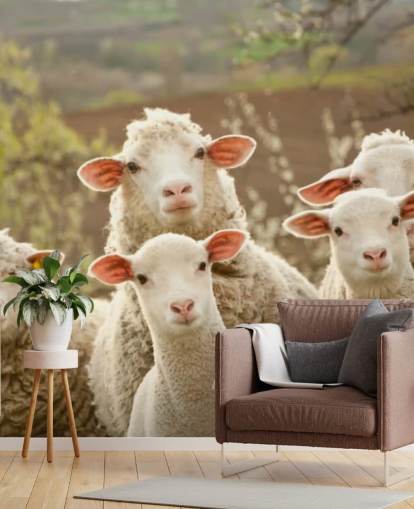 white and green sheep wallpaper mural called Sheep on Pasture for homes and businesses