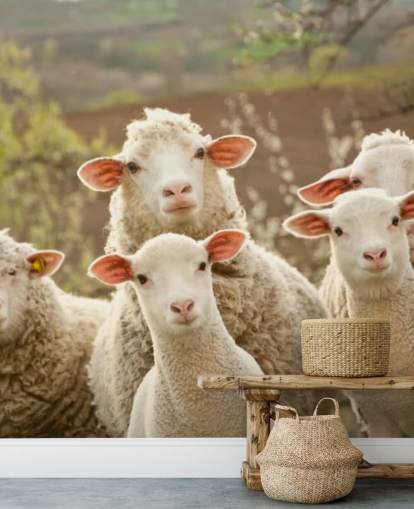white and green sheep wallpaper mural called Sheep on Pasture for homes and businesses