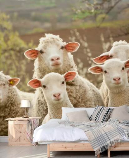 weiße und grüne Schaftapete namens Sheep on Pasture für Häuser und Unternehmen