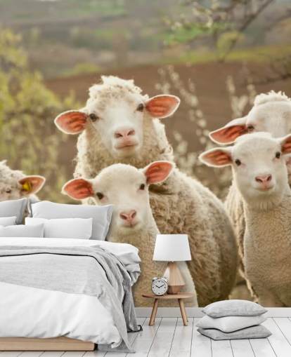 mural de papel pintado de ovejas blancas y verdes llamado Sheep on Pasture para hogares y negocios