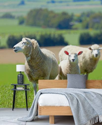 Sheep with Lamb Wallpaper