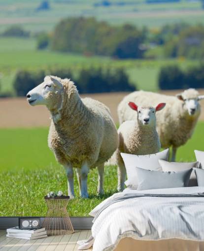 Sheep with Lamb Wallpaper