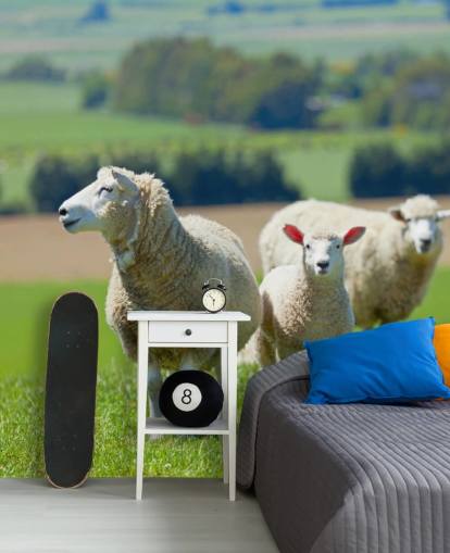 Schapen met lamsbehang