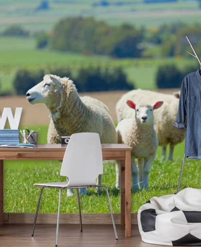 Sheep with Lamb Wallpaper