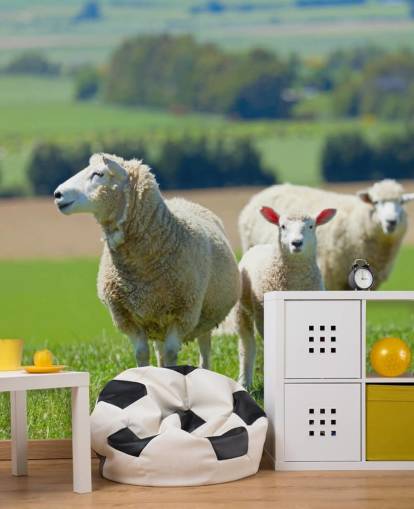 Schapen met lamsbehang