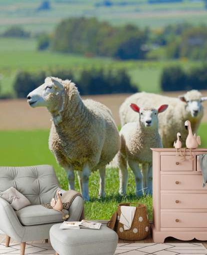 Sheep with Lamb Wallpaper