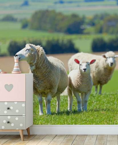 Sheep with Lamb Wallpaper