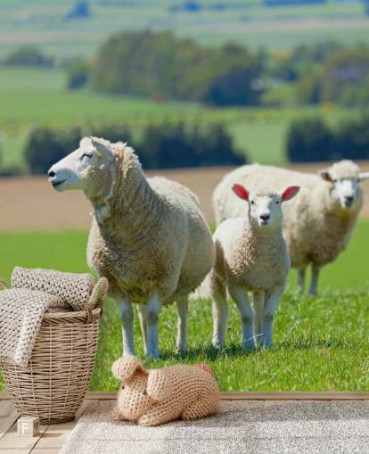 Sheep with Lamb Wallpaper Sheep with Lamb Wallpaper