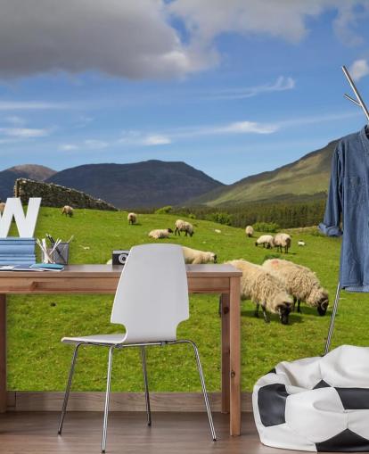 Papel de parede Sheep in Field