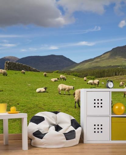 Fondo de pantalla de ovejas en campo