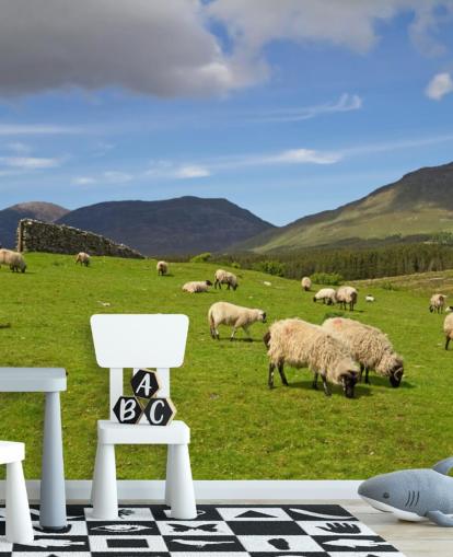 Schapen in veld behang