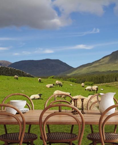 Fondo de pantalla de ovejas en campo