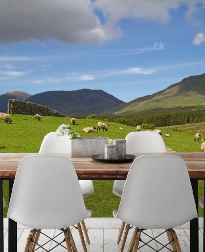 Sheep in Field Wallpaper