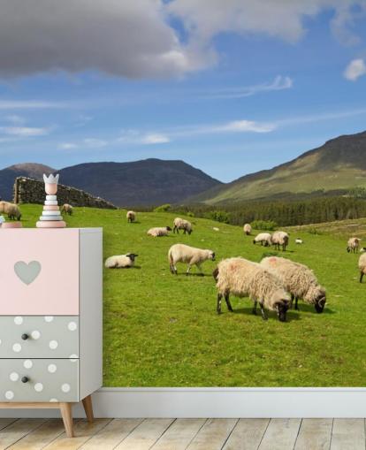Sheep in Field Wallpaper
