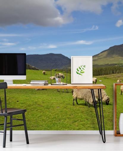 Schaf im Feld Wallpaper