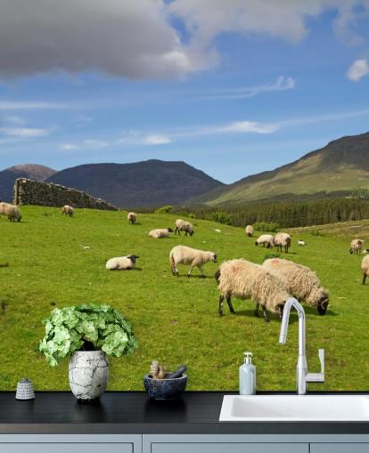 Fondo de pantalla de ovejas en campo