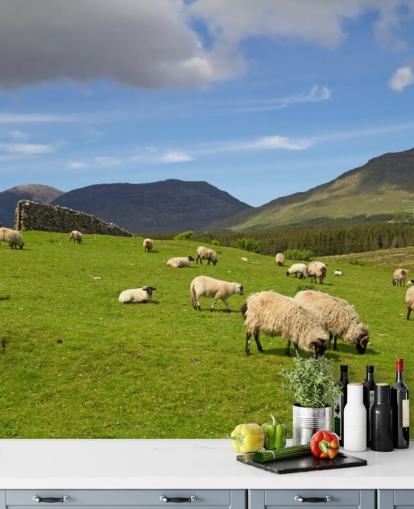 Fondo de pantalla de ovejas en campo