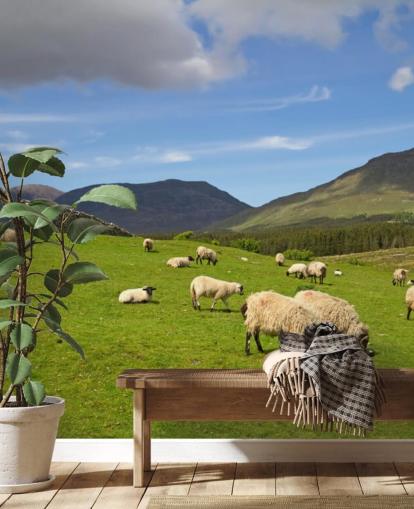 Sheep in Field Wallpaper