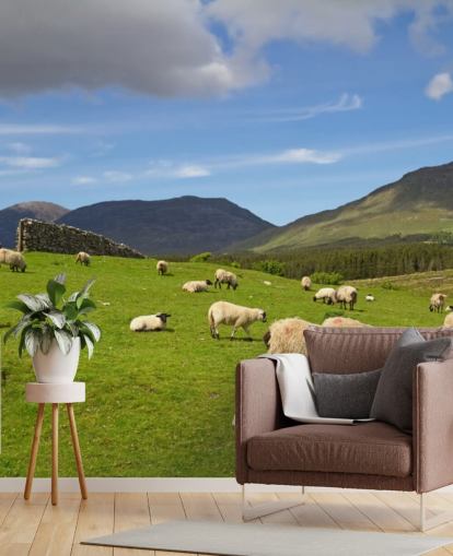 Schapen in veld behang