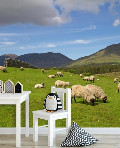 Papel de parede Sheep in Field