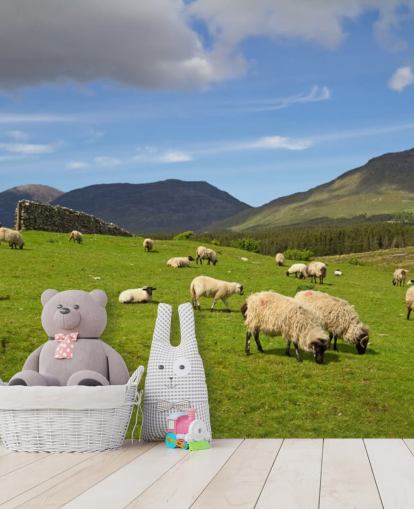 Papel de parede Sheep in Field Papel de parede Sheep in Field