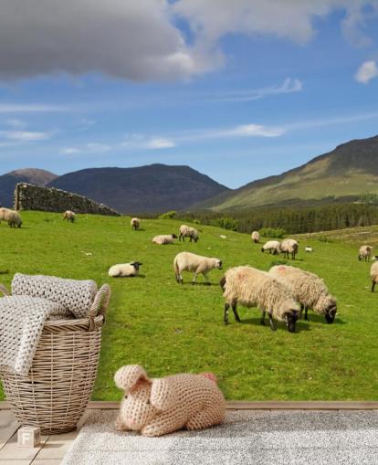 Sheep in Field Wallpaper