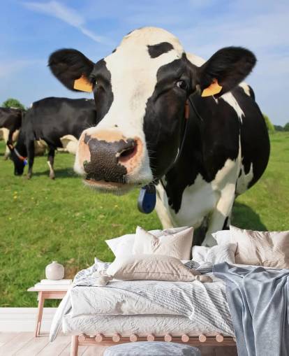 Fondo de pantalla de cara de vaca