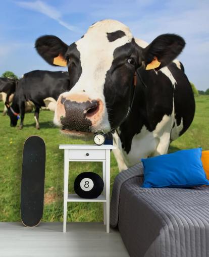 Nära upp av kor ansikte Bakgrund