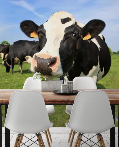 Fondo de pantalla de cara de vaca