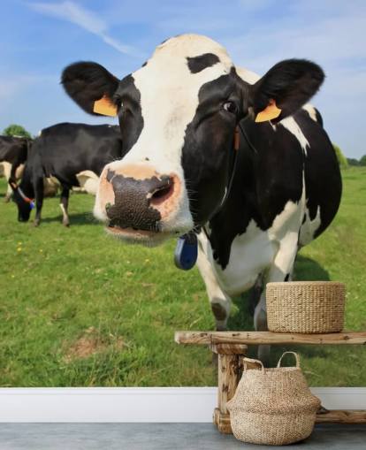 Fondo de pantalla de cara de vaca