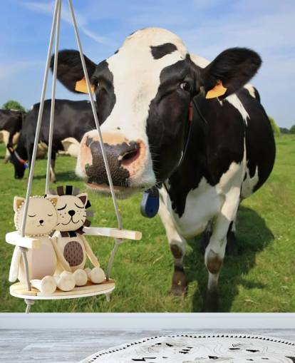 Close Up of Cows Face Wallpaper