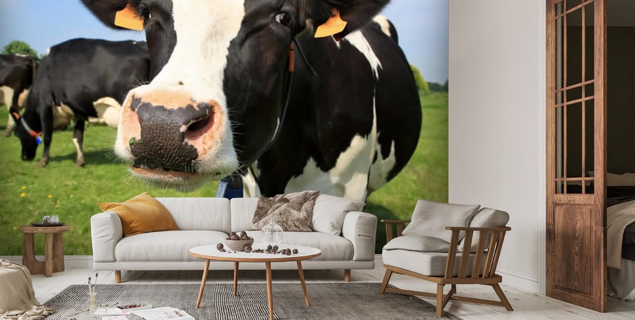 Vivid Where Can I Buy A Whole Cow Moment Digital Art Vivid Where Can I Buy A Whole Cow Moment Digital Art