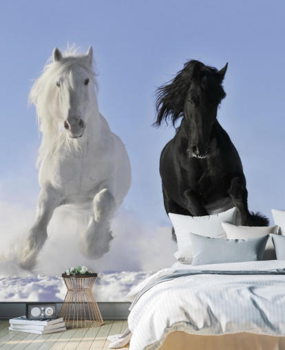 Papier Peint Fresque Cheval Noir et Blanc Sautant sur Snow Hill