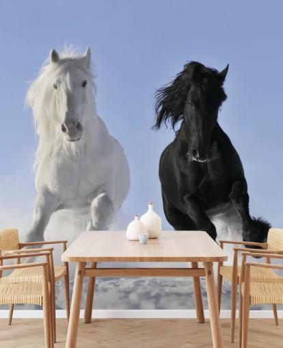 Black and White Horse Leaping over Snow Hill Mural Black and White Horse Leaping over Snow Hill Mural