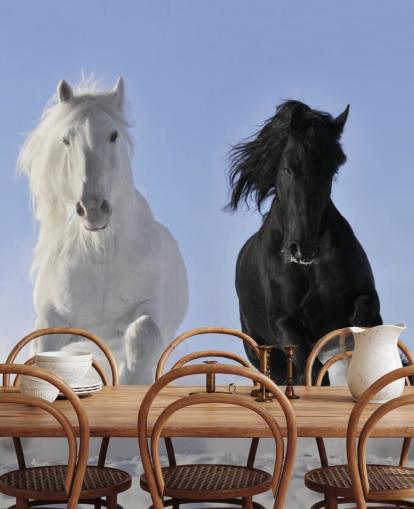 Black and White Horse Leaping over Snow Hill Mural